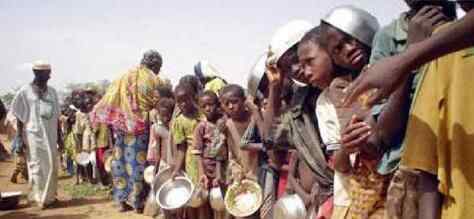 6.9亿人处饥饿状态 为什么还有那么多人