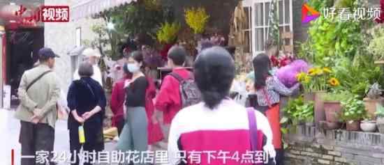24小时自助花店两年没丢一盆花 在哪里开的花店