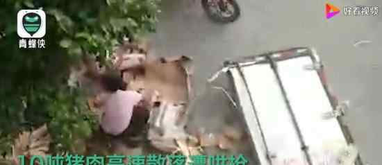 货主回应遇车祸7吨猪肉遭哄抢 损失近30万元
