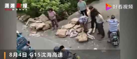 10吨猪肉翻车遭哄抢市委致歉 具体怎么回事