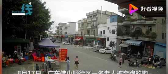 镇政府回应老人被狗绳绊倒身亡 呼吁不要传播相关视频