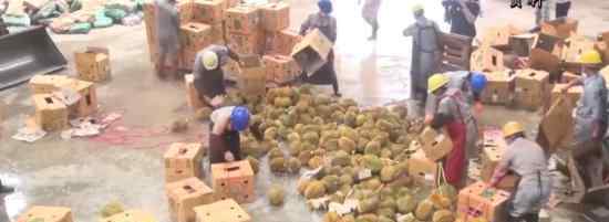 49吨榴莲销毁成有机肥 具体是什么情况