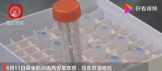 河南一船员在东京核酸检测呈阳性 官方通报详细情况
