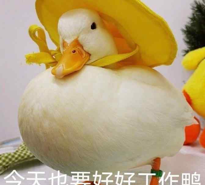 傻子图片 搞笑表情包图片：我对傻子过敏
