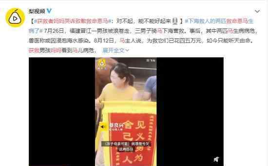 获救者妈妈哭诉致歉救命恩马 希望马儿早日康复