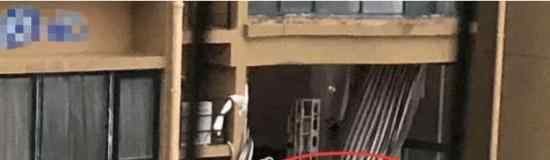 台风天关窗坠楼有没有人祸 具体是什么情况