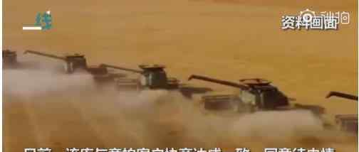 中储粮回应虫眼 虫眼是什么对粮食有什么影响
