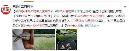 660多种外来物种入侵中国 其影响不容小觑