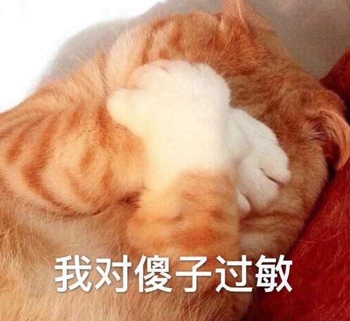 大傻子图片 搞笑表情包图片：我对傻子过敏