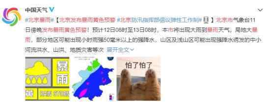 北京市发布暴雨黄色预警 狂风暴雨即将来袭