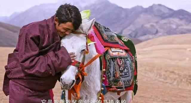 快递员以为丁真是图书馆管理员