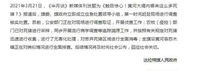 刚刚 内蒙古达拉特旗就“黄河大堤内现死猪”一事进行回应