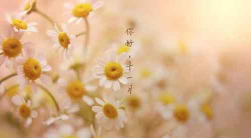 冬月是农历几月份 冬月指的是哪一个月