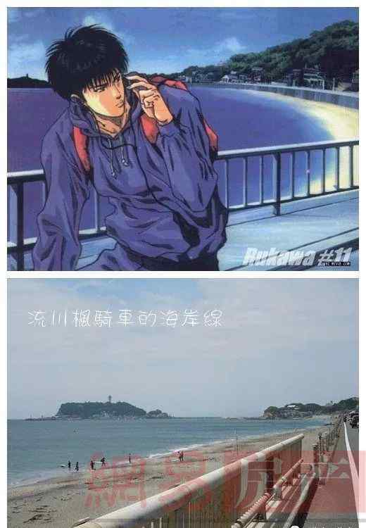 月半喵 当猫奴提起神奈川的时候，想到的一般是这只大月半喵……