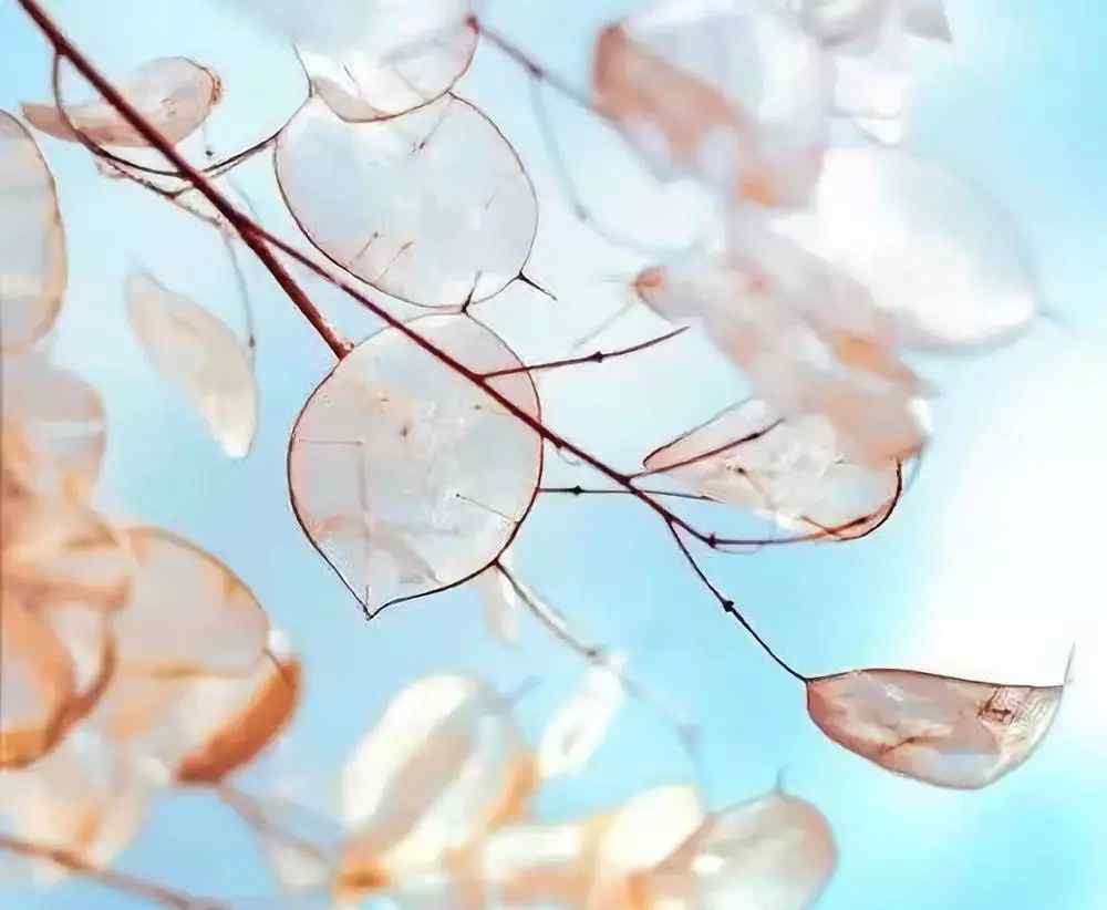 控制自己的情绪 不会控制自己的情绪，永远不可能成为人生赢家（建议都看看）文章配图