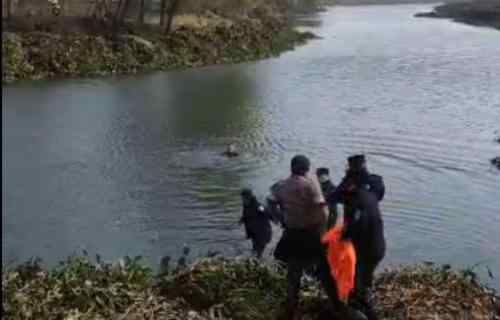 央视主播评安徽女孩轻生溺亡 安徽溺亡女孩家人发声