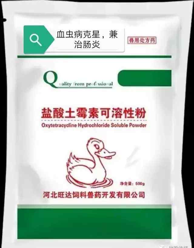 貂 毛皮动物（貂）几种后瘫的原因