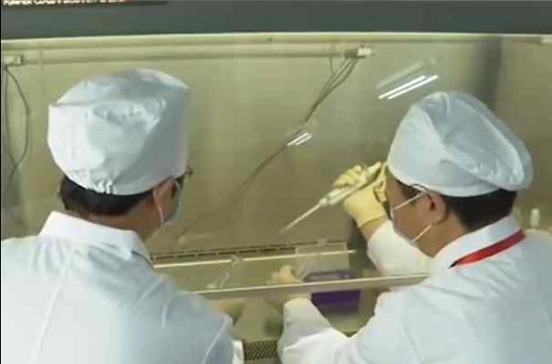 中国新冠疫苗已被证明有效 事情经过真相揭秘！