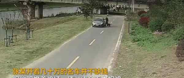 养鸡场丢300多只鸡小偷是只金毛 农家乐老板教唆金毛偷鸡300多只