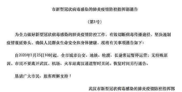 武汉全市交通停运 恢复时间另行通告