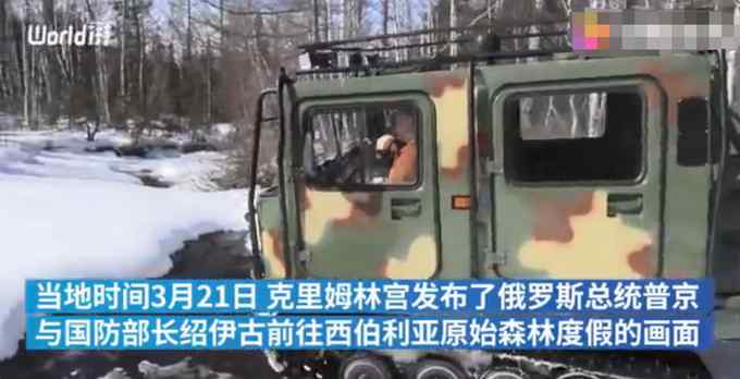 画面曝光！68岁普京西伯利亚度假 开越野车林中驰骋