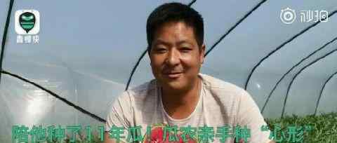 瓜农种心形西瓜520赠爱妻 还原事发经过及背后真相！