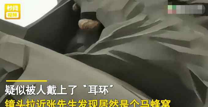 湖北男子在广场拍30米高铜像发现不对劲 拉近一看不淡定了