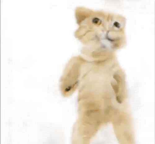 霹雳舞2下载 pix2pix 3D版：几笔线条生成超炫猫咪霹雳舞！