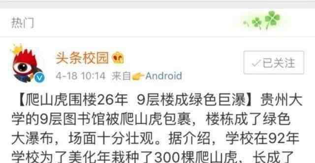 贵阳高校爬山虎占领9层图书馆 究竟是怎么一回事?文章配图