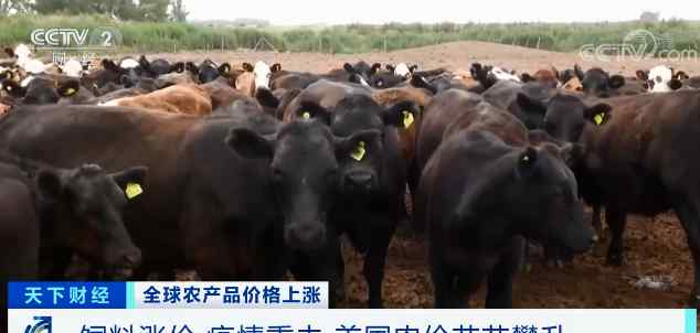 全球食品价格持续上涨 有地方涨幅惊人 意味着什么？