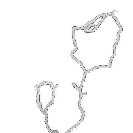 绕西湖跑玫瑰花 跑步也可以这么浪漫