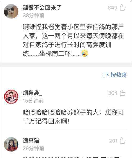 国庆放飞7万和平鸽 这些鸽子从哪来
