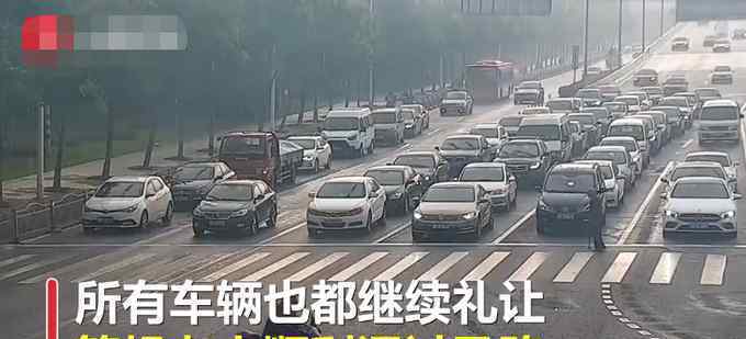 绿灯为过马路老人多亮了97秒 到底是什么状况？