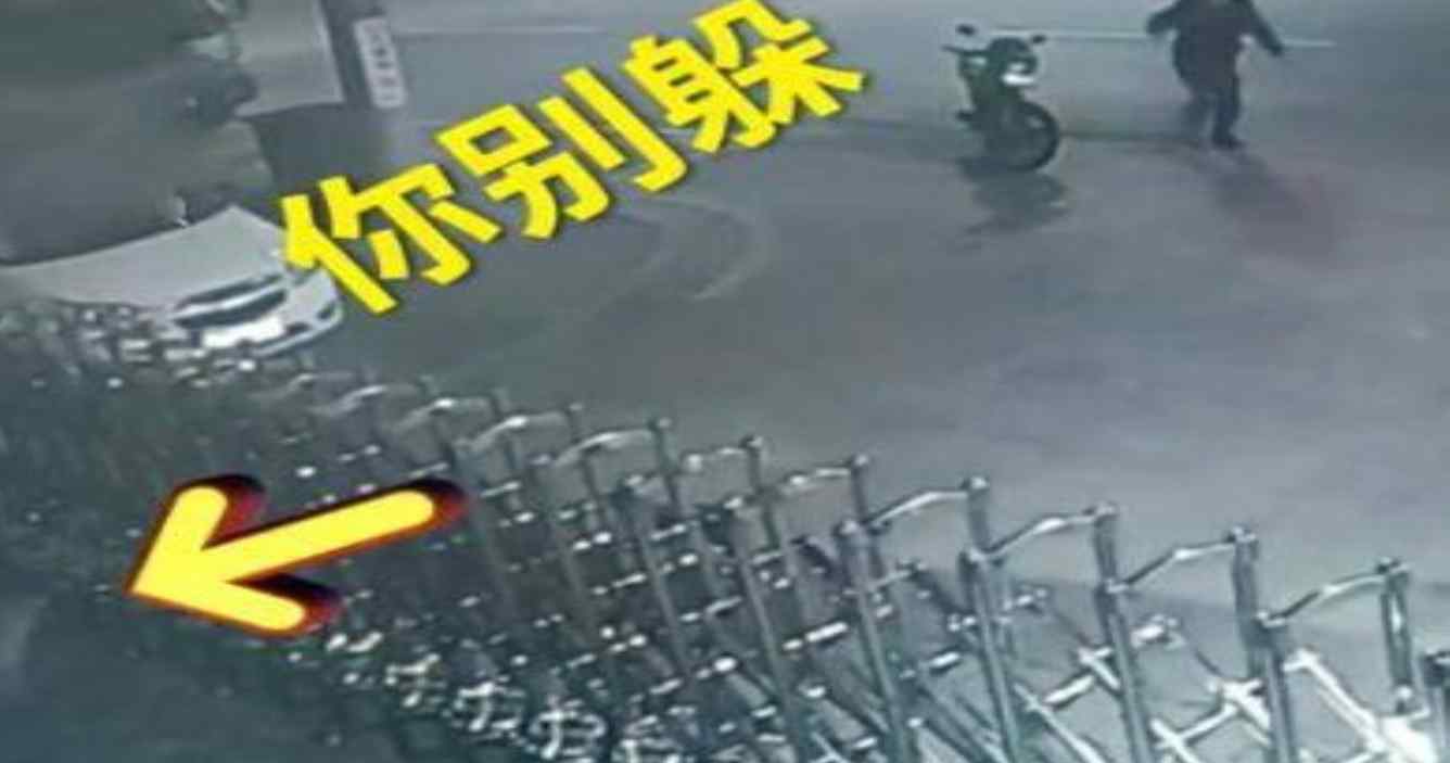 醉酒后与狗对骂半小时 最后狗狗认输了