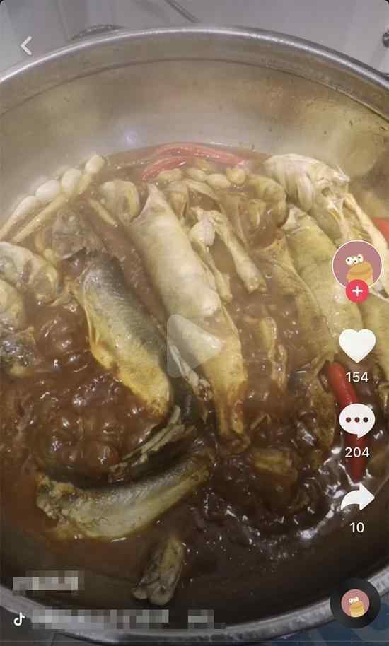 抖音煮二级保护动物 经网友举报该视频已下架