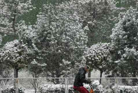 北京暴雪蓝色预警 多地迎来降水顶峰