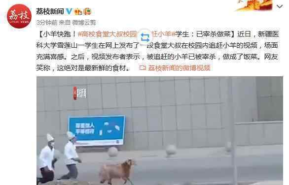 新疆高校食堂大叔校园里追羊 到底什么情况呢？