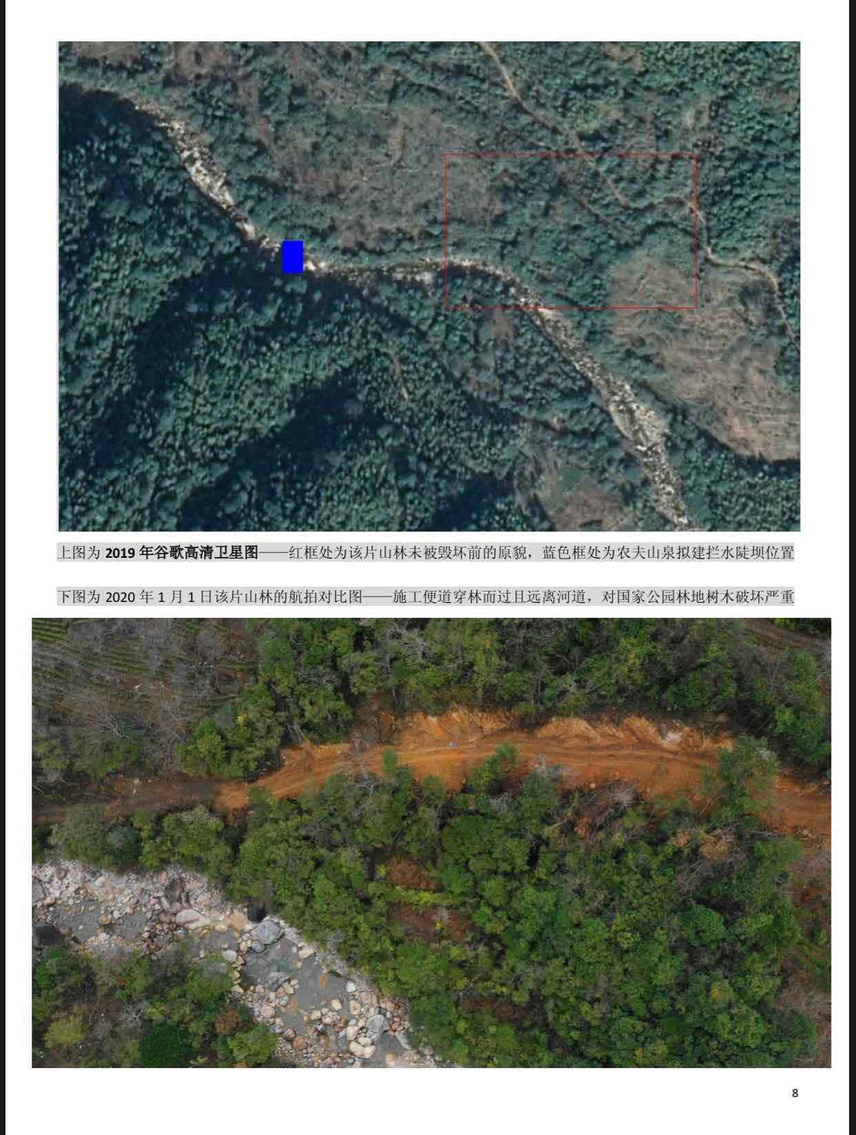 农夫山泉举报人发声 认为农夫山泉纯粹是毁林开道