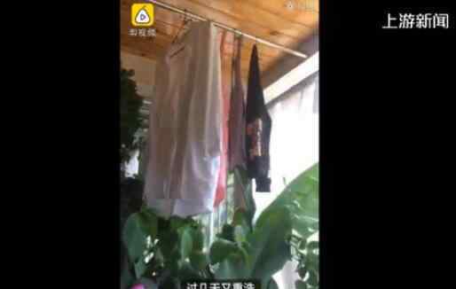 神仙阳台房主衣服晾1个月未干 究竟是怎么一回事?