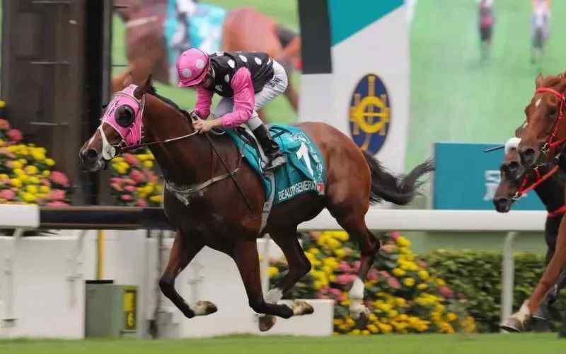 看特马 【历代】香港历届马王你会pick哪位?