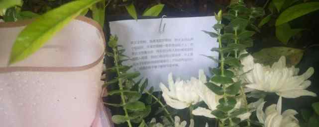 杭州杀妻嫌犯疑似涉及另一桩命案 还原事发经过及背后真相！