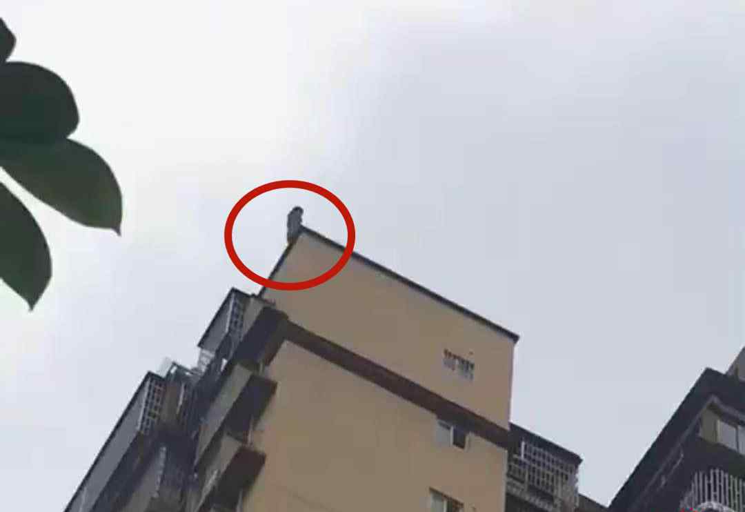 父亲欲接25楼跳下女儿被砸身亡 事件详细经过！