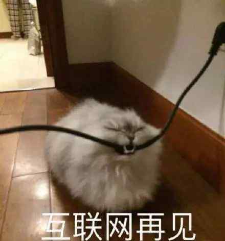 怎样起网名 起个网名怎么这么难！文章配图
