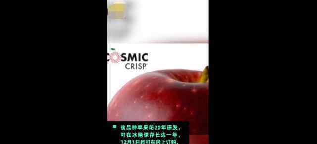 保质期一年苹果上市 果肉会缓慢变为棕色