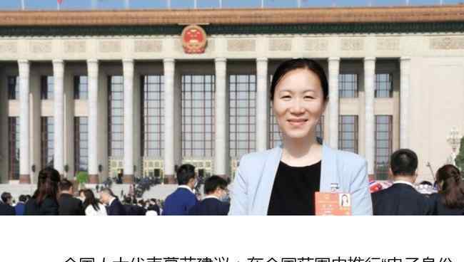 建议全国推行电子身份证 事情的详情始末是怎么样了！