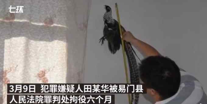 云南一男子吃了一只鸡 9年后被判拘役 原因是……