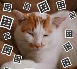 slumber 你知道几种“我好困”的英语表达方式！