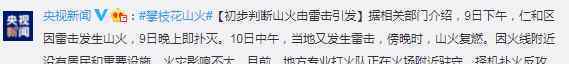 攀枝花突发山火 事件详情始末介绍！文章配图