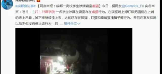女大学生寝室虐猫 如果不爱请不要伤害