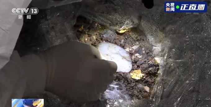 三星堆5号坑提取出椭圆形玉器！细节曝光太震撼 网友：惊喜不断
